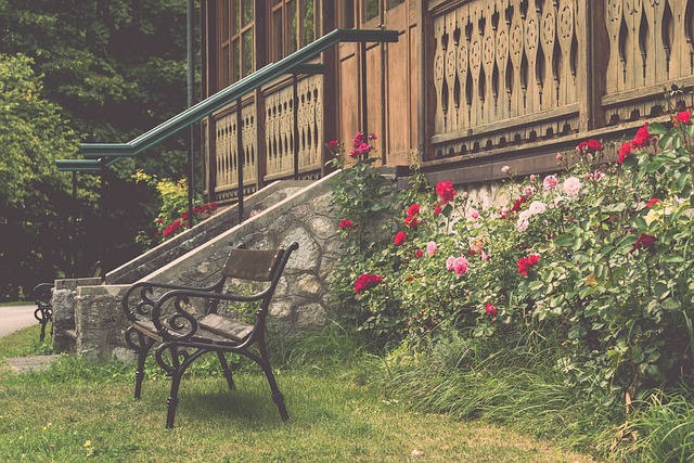 我国支持更 我国支持更