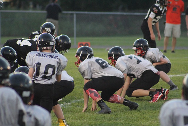 篮球分析师 篮球分析师