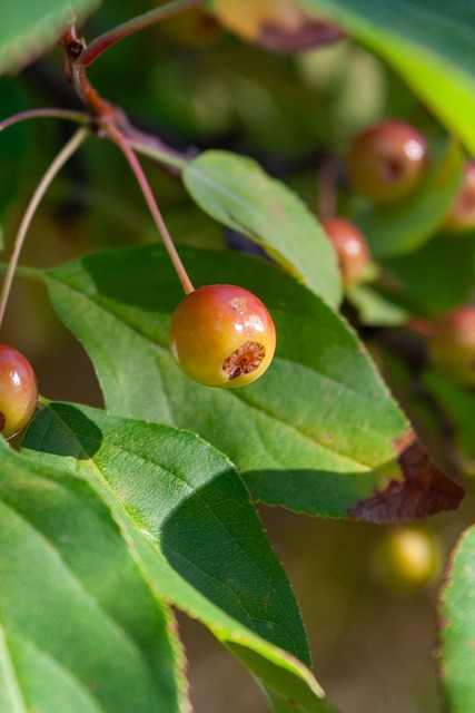 在试训期间 在试训期间