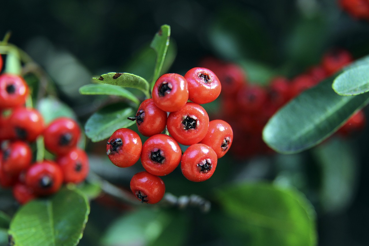 二的战袍 二的战袍