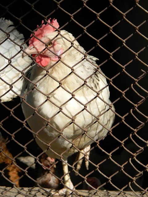 来源于场上 来源于场上