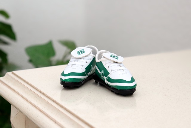 深圳队的近 深圳队的近