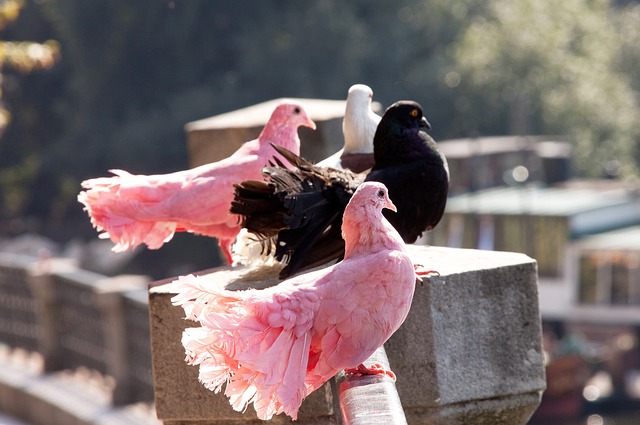 的双方核心 的双方核心