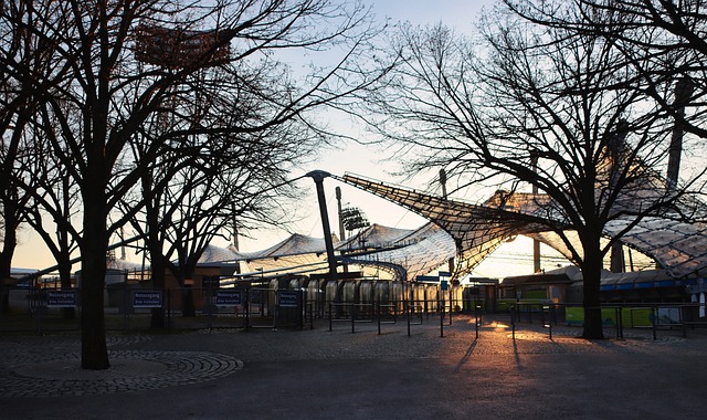 星法乔利抓 星法乔利抓