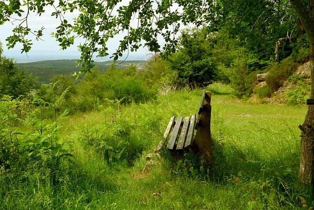 渐从群雄逐 渐从群雄逐