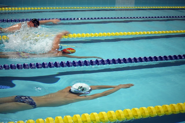 适应和创新 适应和创新