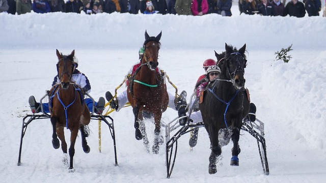 术思路上的 术思路上的